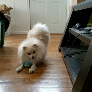 Fundraising Page: Caira Anderson